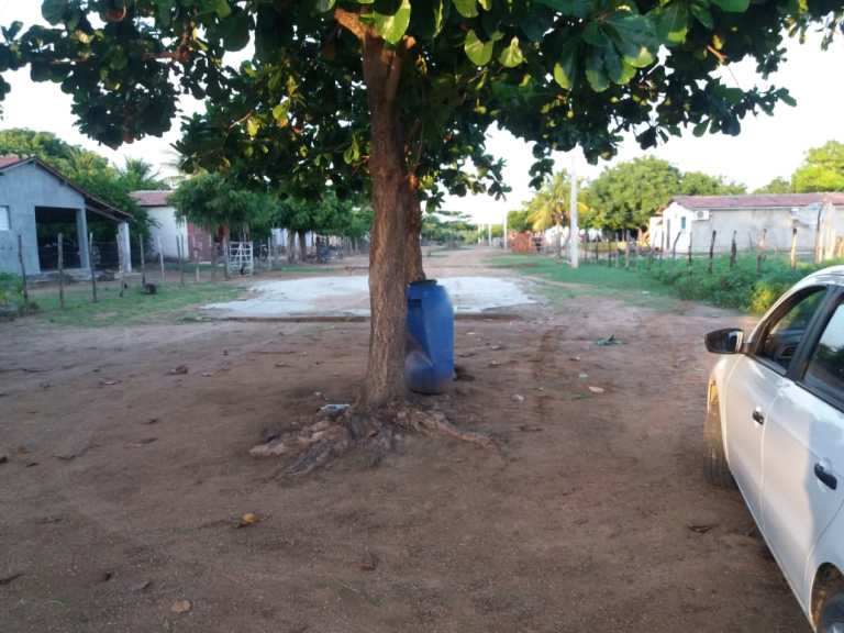 Prefeitura de São Domingos inicia planejamento para pavimentação em assentamento rural